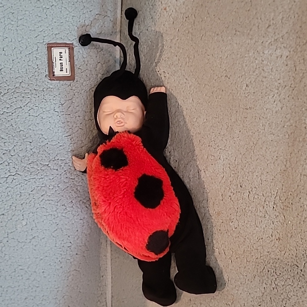 Anne Geddes "Lady Bug"